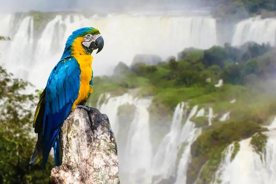 Iguazu Waterfalls