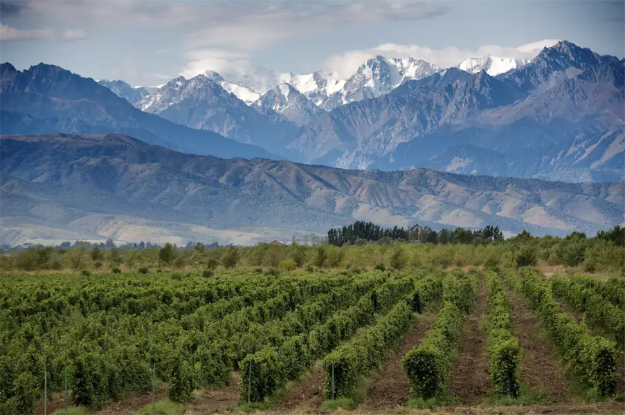 Mendoza