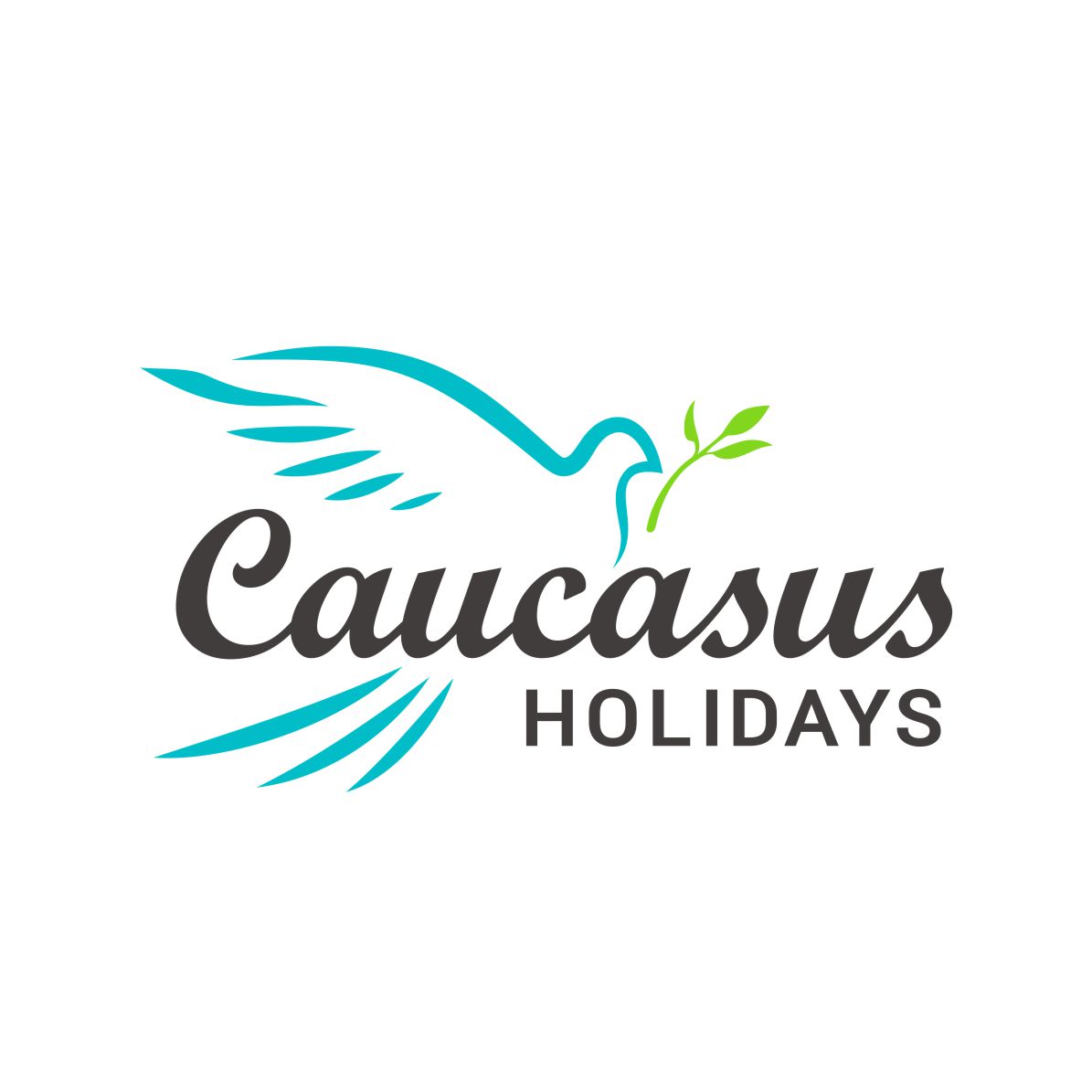 About Caucasus Holidays