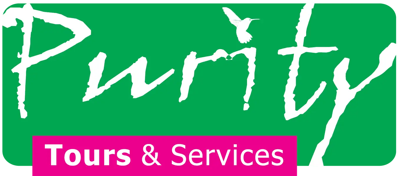 About Purity Tours & Services
